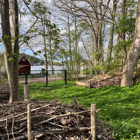 In Herrschaftlicher דירה קרקוב אם זיי